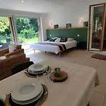 Domaine Des Celestins - Loft Ginkgo Appartement