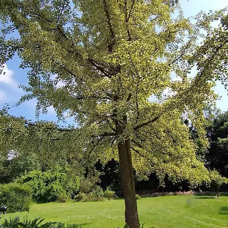 Διαμέρισμα Domaine Des Celestins - Loft Ginkgo