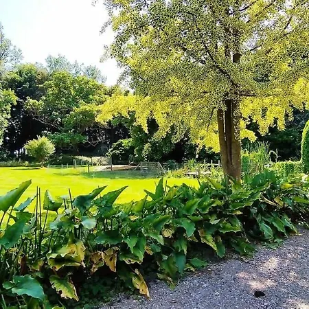 Loft Ginkgo Apartman *